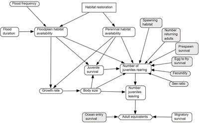 An evaluation of tradeoffs in restoring ephemeral vs. perennial habitats to conserve animal populations